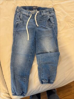 torrid Light Blue Denim Drawstring Joggers